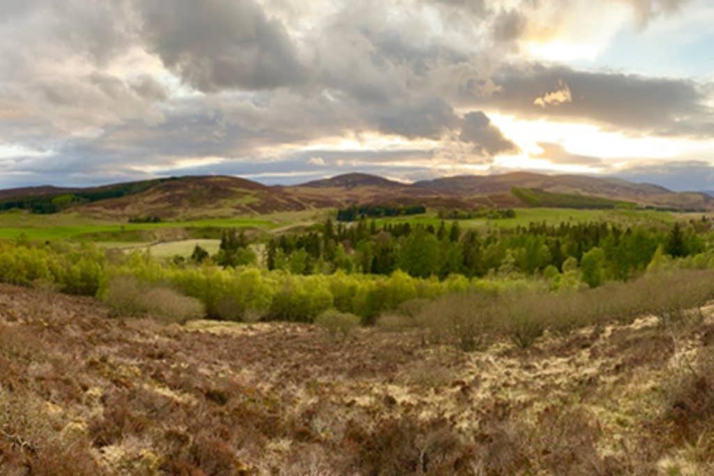 Blairbeg Cottage Blairgowrie and Rattray ภายนอก รูปภาพ